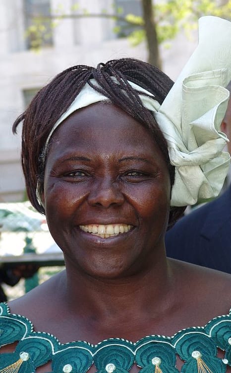 All African Nobel Prize Winners 19 Wangari Maathai 2004 Nobel Peace prize winner